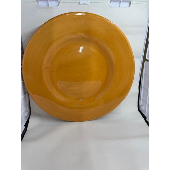 Pottery Barn "SAUSALITO" 12" Plate Yellow - Picture 4 of 8